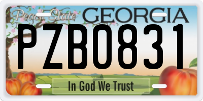 GA license plate PZB0831