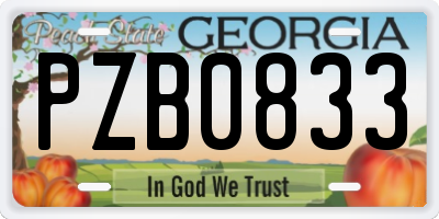 GA license plate PZB0833