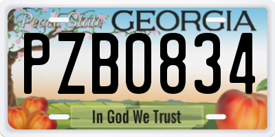 GA license plate PZB0834