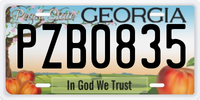 GA license plate PZB0835