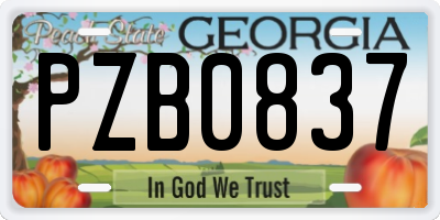 GA license plate PZB0837