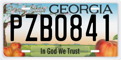 GA license plate PZB0841