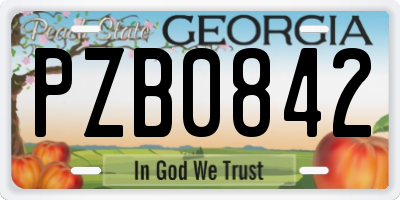 GA license plate PZB0842