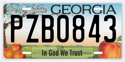 GA license plate PZB0843
