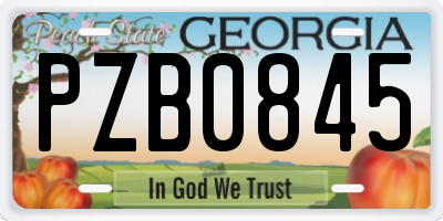 GA license plate PZB0845