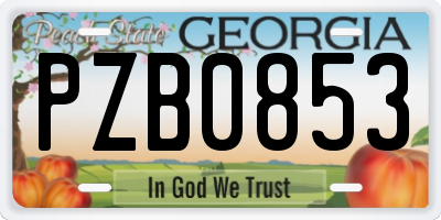 GA license plate PZB0853