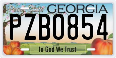 GA license plate PZB0854