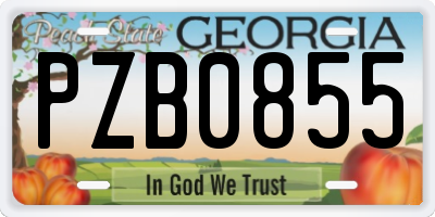 GA license plate PZB0855