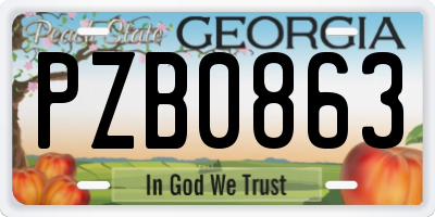 GA license plate PZB0863