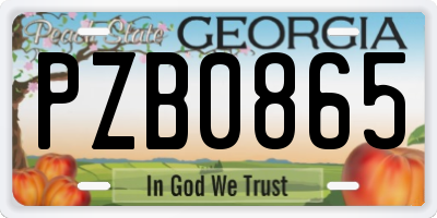 GA license plate PZB0865