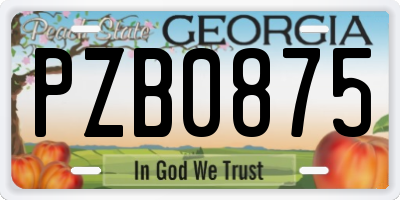 GA license plate PZB0875