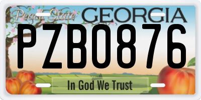 GA license plate PZB0876