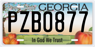 GA license plate PZB0877