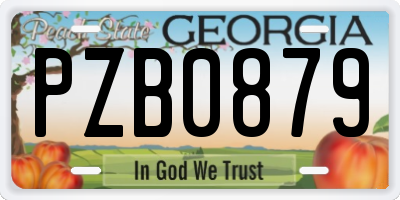 GA license plate PZB0879