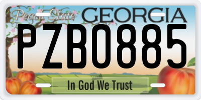 GA license plate PZB0885
