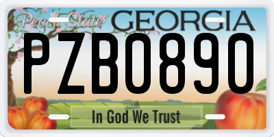 GA license plate PZB0890
