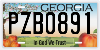 GA license plate PZB0891