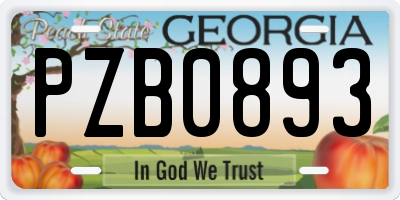GA license plate PZB0893