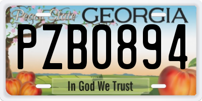 GA license plate PZB0894
