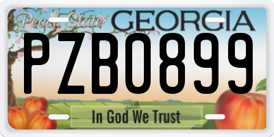GA license plate PZB0899