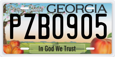 GA license plate PZB0905