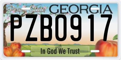 GA license plate PZB0917