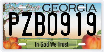 GA license plate PZB0919