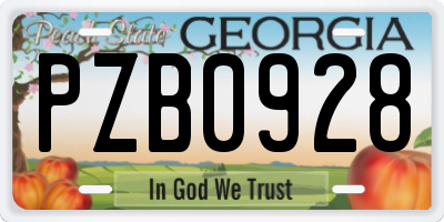GA license plate PZB0928