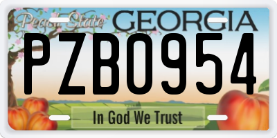 GA license plate PZB0954