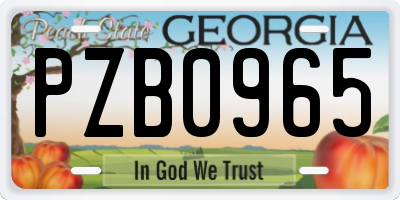 GA license plate PZB0965