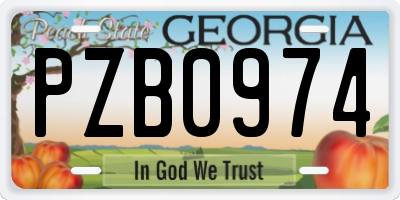 GA license plate PZB0974