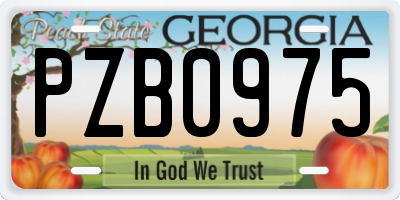 GA license plate PZB0975