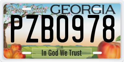 GA license plate PZB0978