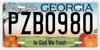 GA license plate PZB0980