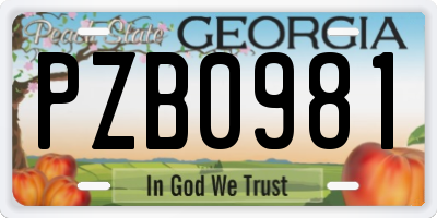 GA license plate PZB0981