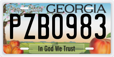GA license plate PZB0983