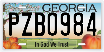 GA license plate PZB0984