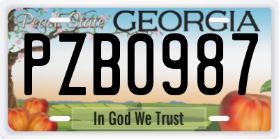 GA license plate PZB0987