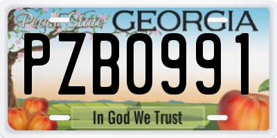 GA license plate PZB0991