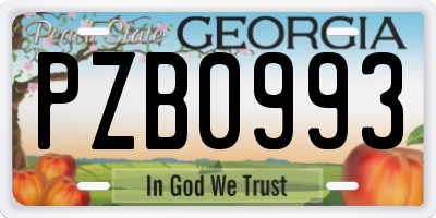 GA license plate PZB0993