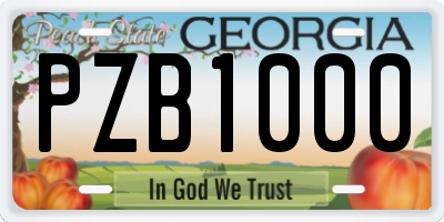 GA license plate PZB1000