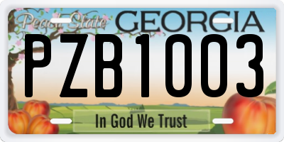 GA license plate PZB1003