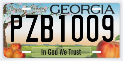 GA license plate PZB1009