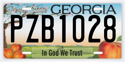 GA license plate PZB1028