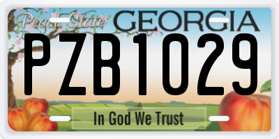 GA license plate PZB1029