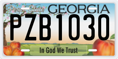 GA license plate PZB1030