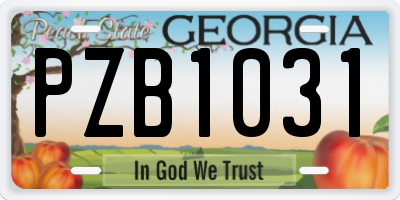 GA license plate PZB1031