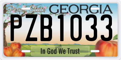 GA license plate PZB1033