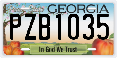 GA license plate PZB1035