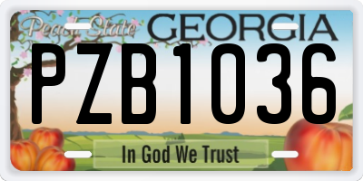 GA license plate PZB1036